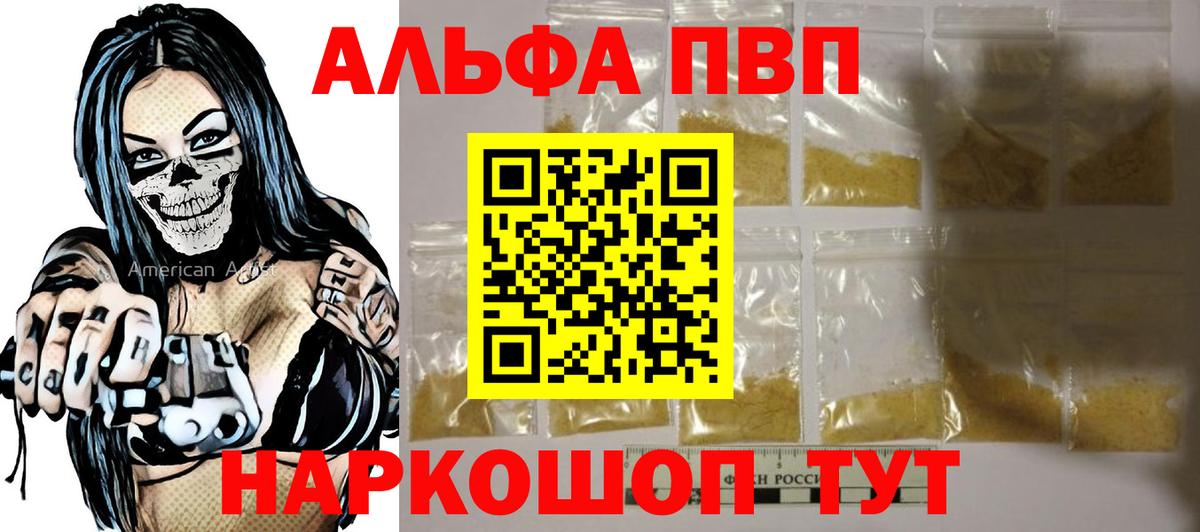 A PVP СК КРИС Йошкар-Ола