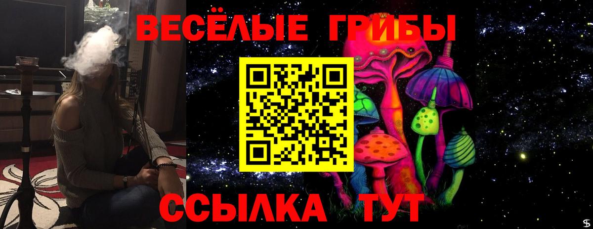 Псилоцибиновые грибы прущие грибы  Галлюциногенные грибы мицелий  Йошкар-Ола  Вход с VPN 
